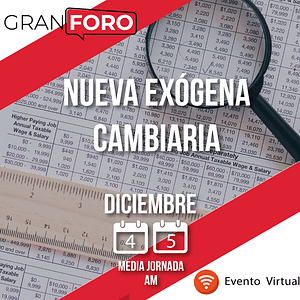 Nueva Exógena Cambiaria. Diciembre 2024